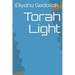 Torah Light