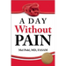 A Day Without Pain