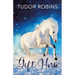Gift Horse: An all-ages, horsey, holiday novella