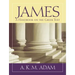 James: A Handbook on the Greek Text