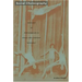 Social Choreography: Ideology as Performance in Dance and Everyday Movement