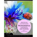 Wonderful Ladybugs and Flowers Book 1: Grayscale coloring books for adults Relaxation (Adult Coloring Books Series, grayscale fantasy coloring books)