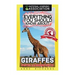 Everything You Should Know About: Giraffes