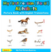 My First Persian ( Farsi ) Alphabets Picture Book with English Translations: Bilingual Early Learning & Easy Teaching Persian ( Farsi ) Books for Kids
