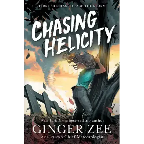 Chasing Helicity: Chasing Helicity-Chasing Helicity, Book 1