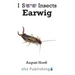 Earwig