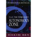 T.A.Z.: The Temporary Autonomous Zone