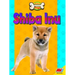 Shiba Inu