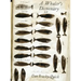 A Whaler's Dictionary