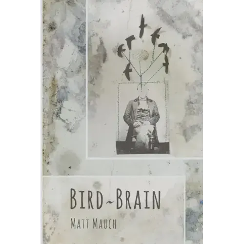 Bird Brain