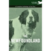 The Newfoundland - A Complete Anthology of the Dog