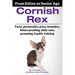 Cornish Rex: From Kitten to Senior Age