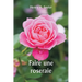 Faire une roseraie