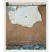 Robert Polidori: Topographical Histories