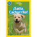 Salta, Cachorrito
