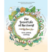 The Secret Life of the Forest: Trees, Animals, and Fungi