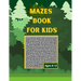 Mazes book for kids ages 8-12: Fun and Challenging Mazes for Kids 8-12. Activity Book For Preschoolers, Maze Activity For Kids Ages 8-12 Puzzles.