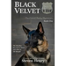Black Velvet