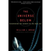 The Universe Below: Discovering the Secrets of the Deep Sea