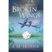 Broken Wings: Terror, intrigue, and murder laced with romance