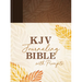 KJV Journaling Bible with Prompts [Copper Leaf]