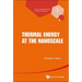 Thermal Energy at the Nanoscale
