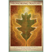 Honoring Nature: An Anthology of Authors and Artists Festival Writers