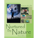 Nurtured by Nature: The Children's Garden