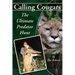Calling Cougars: The Ultimate Predator Hunt