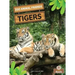 Tigers