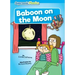 Baboon on the Moon