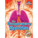 The Respiratory System