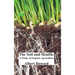 The Soil and Health: A Study of Organic Agriculture
