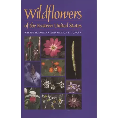 Wildflowers of the Eastern United States