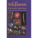 Wildflowers of the Eastern United States