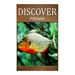 Piranha - Discover: Early reader's wildlife photography book