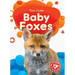 Baby Foxes