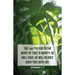 General Worship Bulletin: Is Mighty (Package of 100): Zephaniah 3:17 (Kjv)