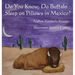 Do You Know, Do Buffalo Sleep on Pillows in Mexico?