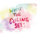 What the Ceiling Sees