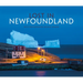 Lost in Newfoundland