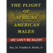 The Plight of African-American Males: We Can't Be Silent