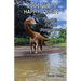 Eclipso's Happy Quest Book Two: Eau De Diplodocus?