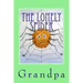 The Lonely Spider: A Drawry Story