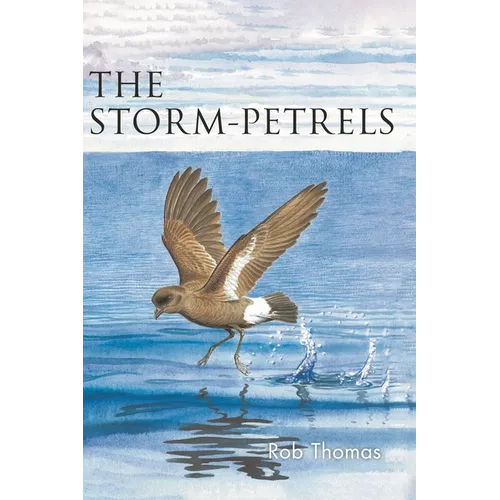 The Storm-Petrels