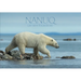 Nanuq: Life with Polar Bears