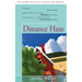 Distance Haze