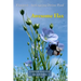 Awesome Flax: A Book by Flax Guru