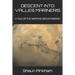 Descent Into Valles Marineris
