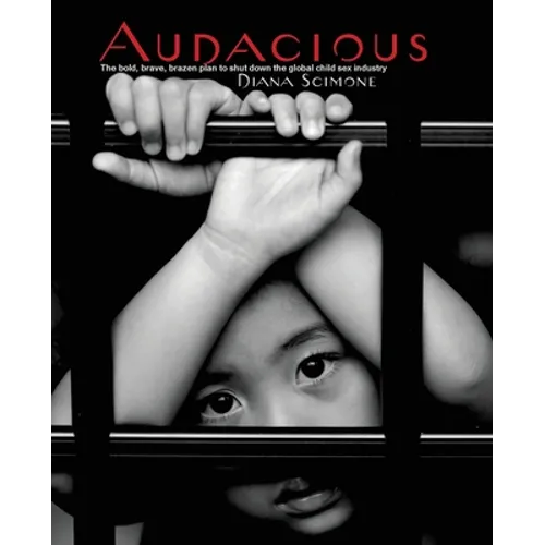 Audacious: The bold, brave, brazen plan to shut down the global child sex industry